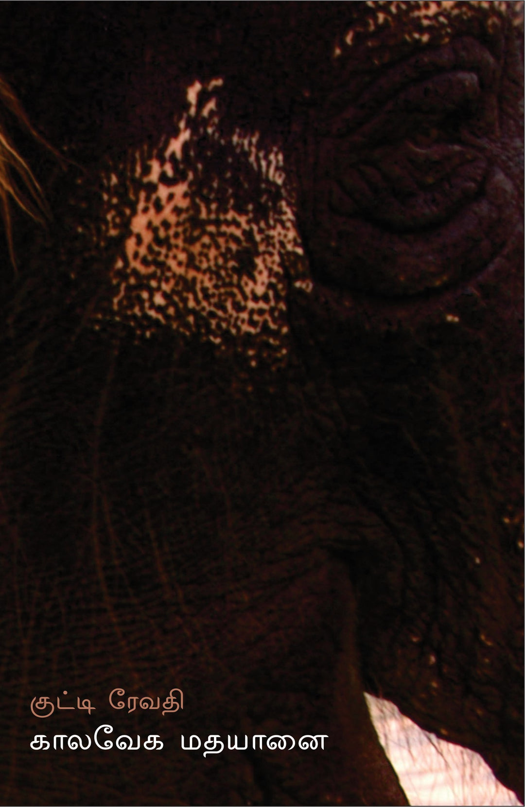 காலவேக மதயானை